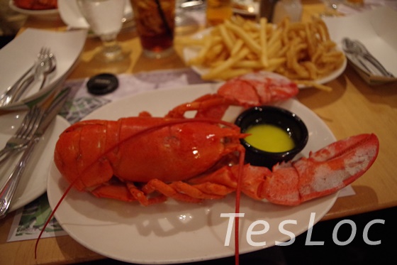 lobster-legal