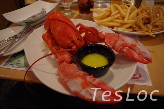 lobster-legal2