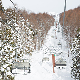 東京から手ぶらで日帰りできて、北海道並みの雪質が楽しめるスキー場