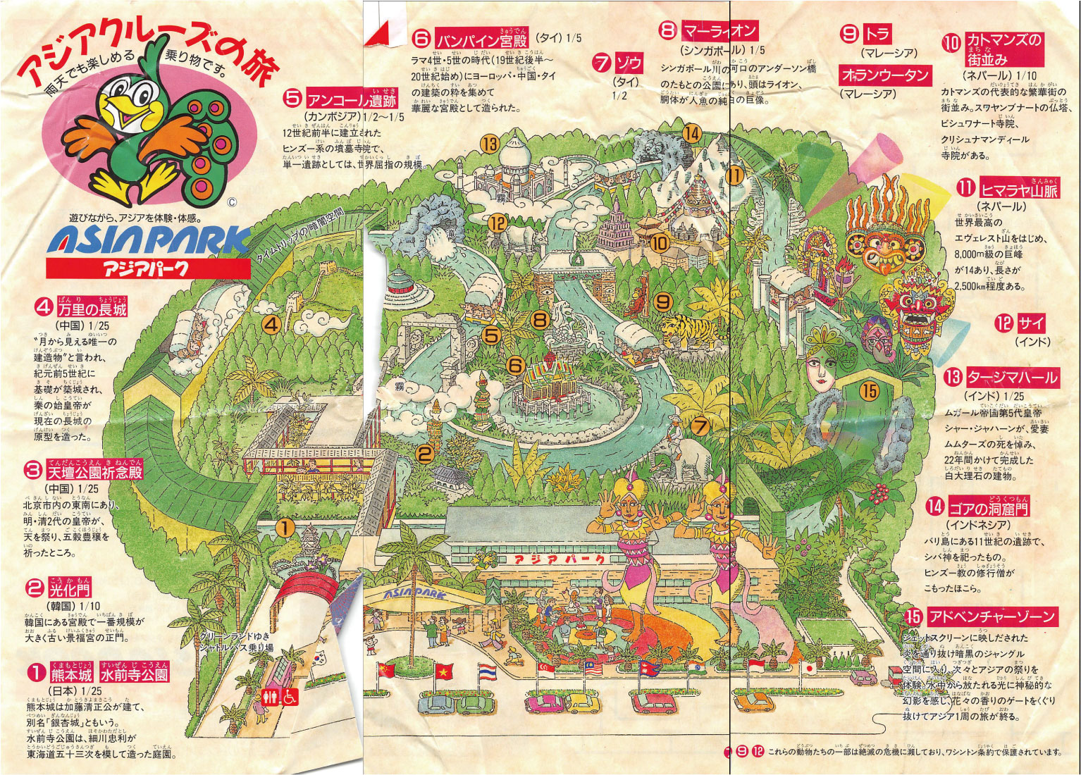 カタツムリの部分 - 頭